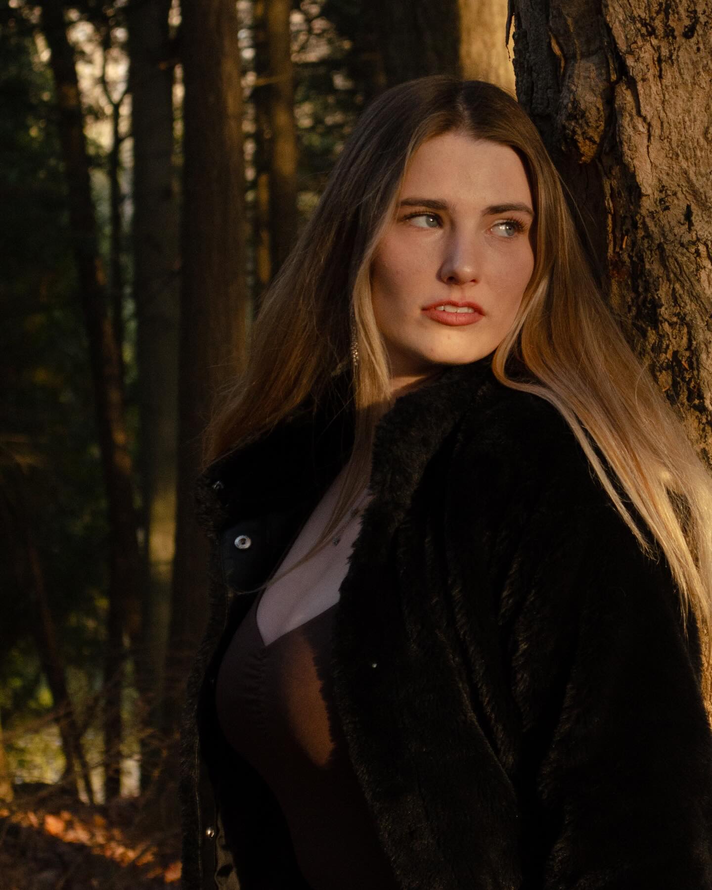 Photography Portfolio